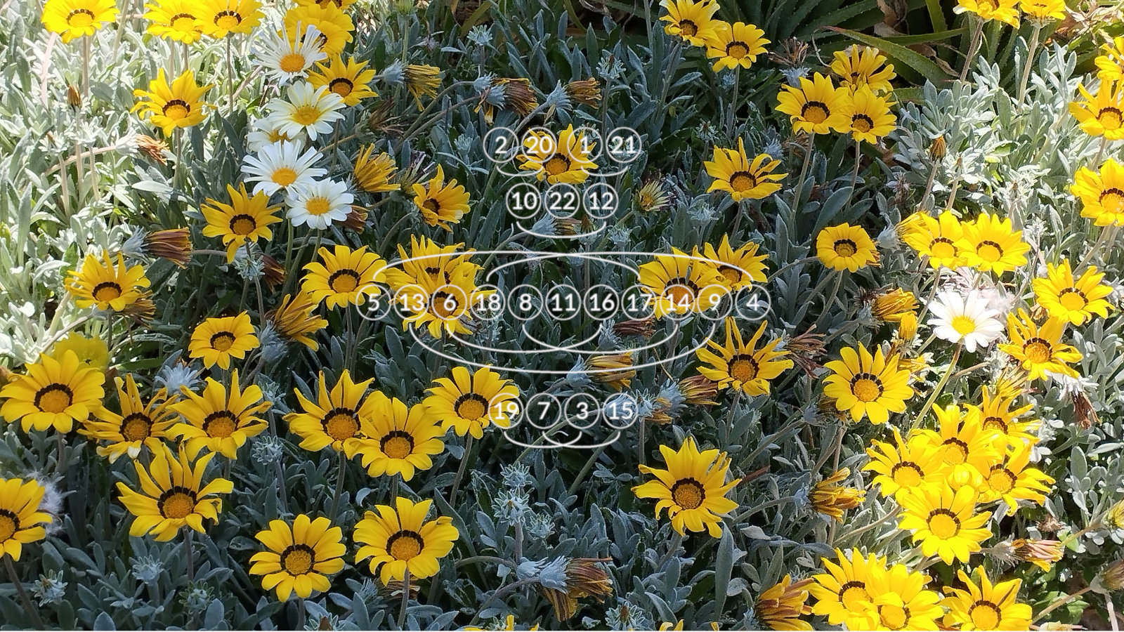 Формулы книги Исход и другие замечательные открытия